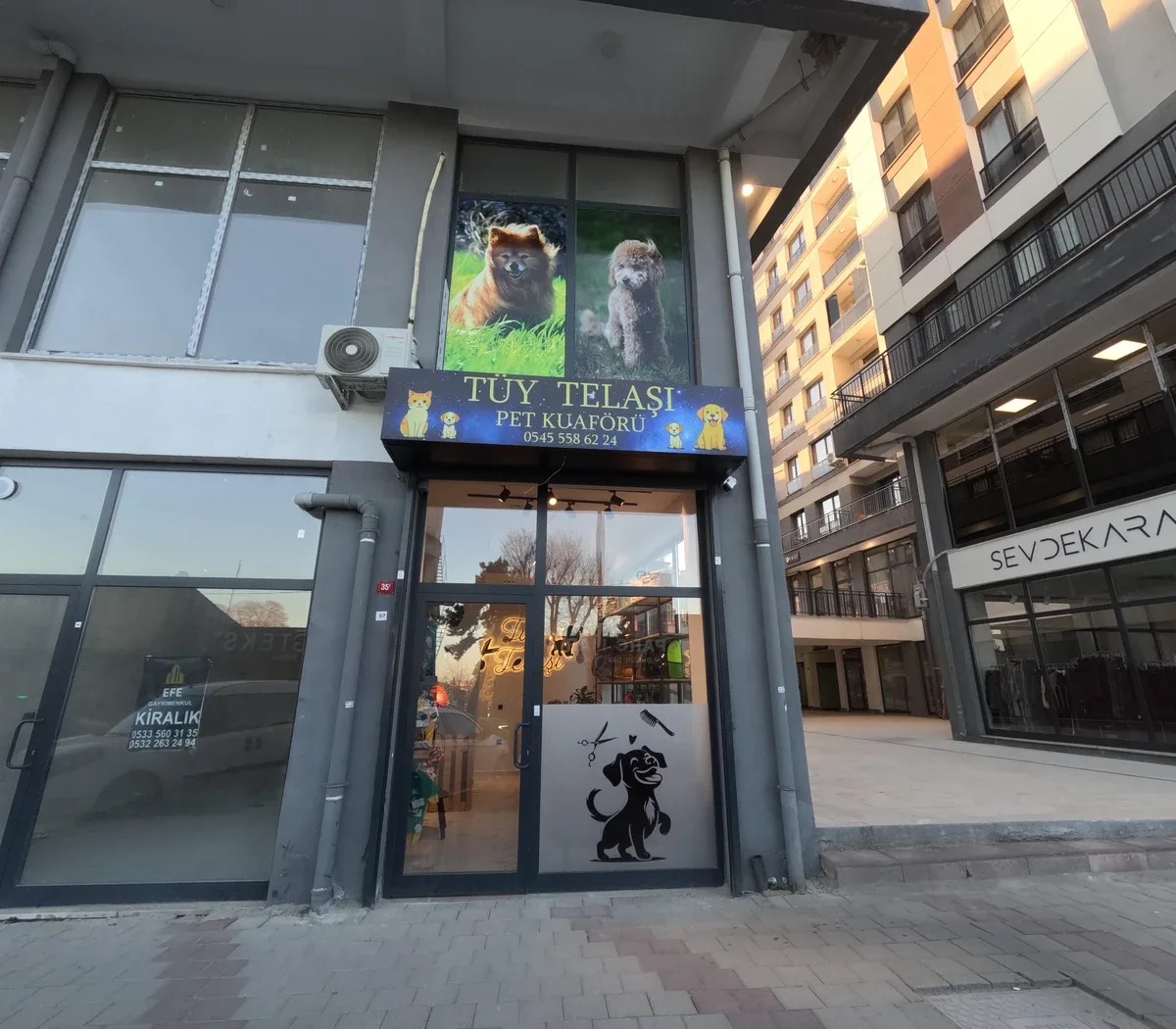 Tüy Telaşı Galeri