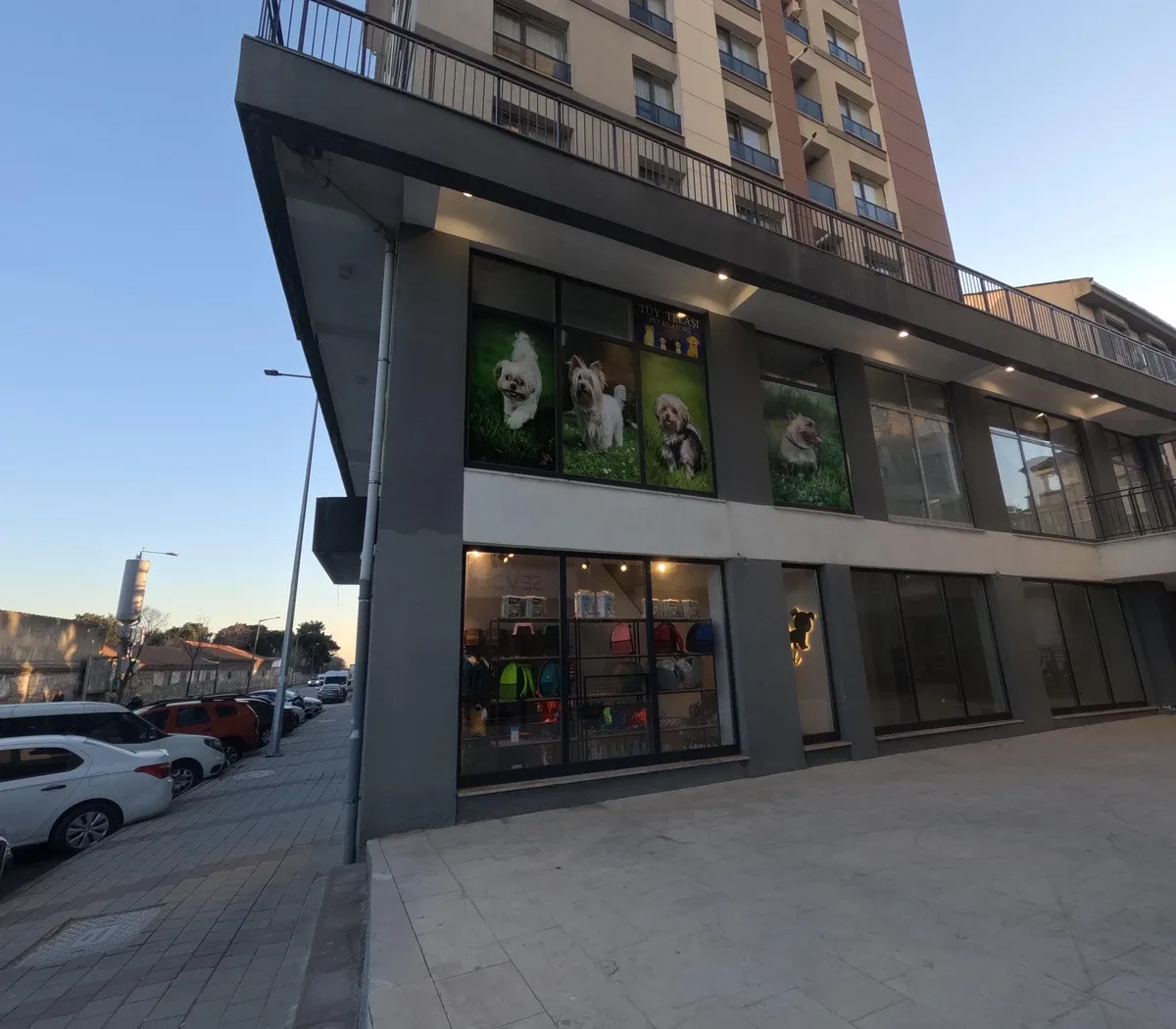 Tüy Telaşı Galeri