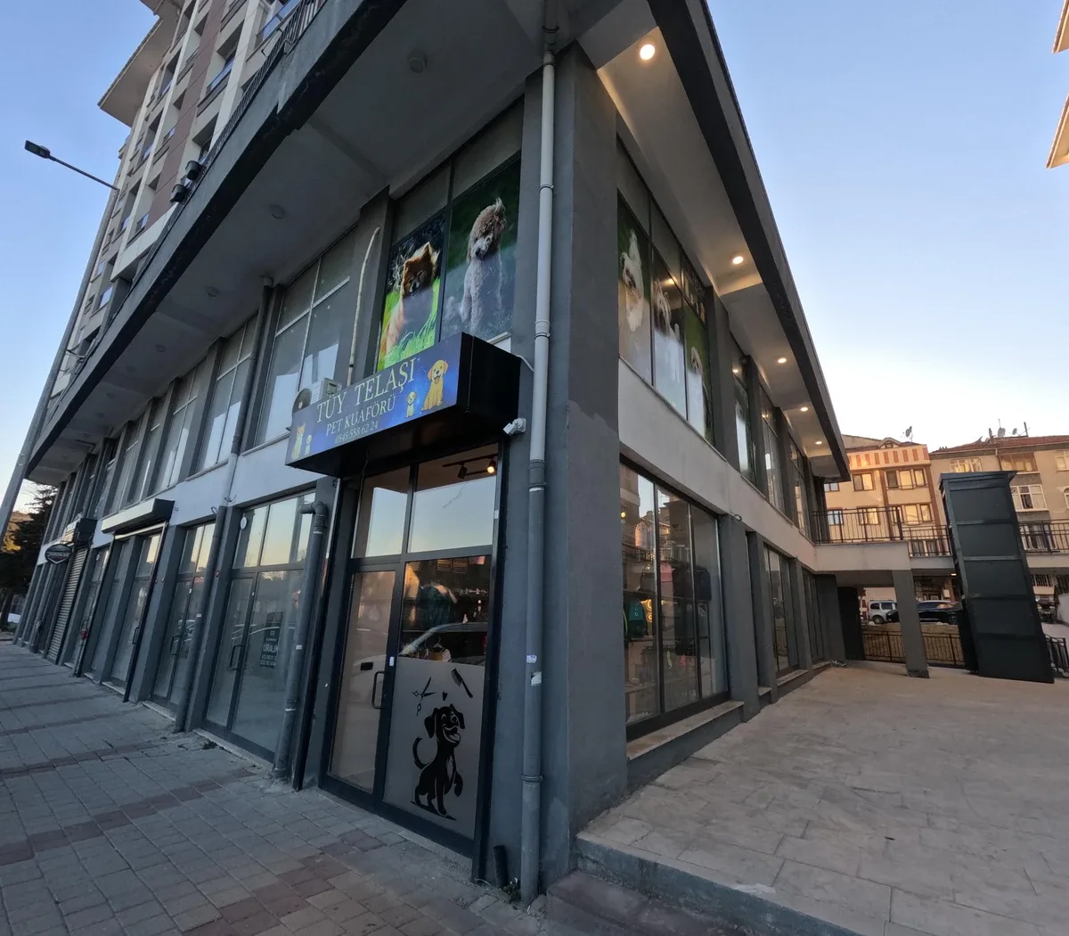 Tüy Telaşı Galeri