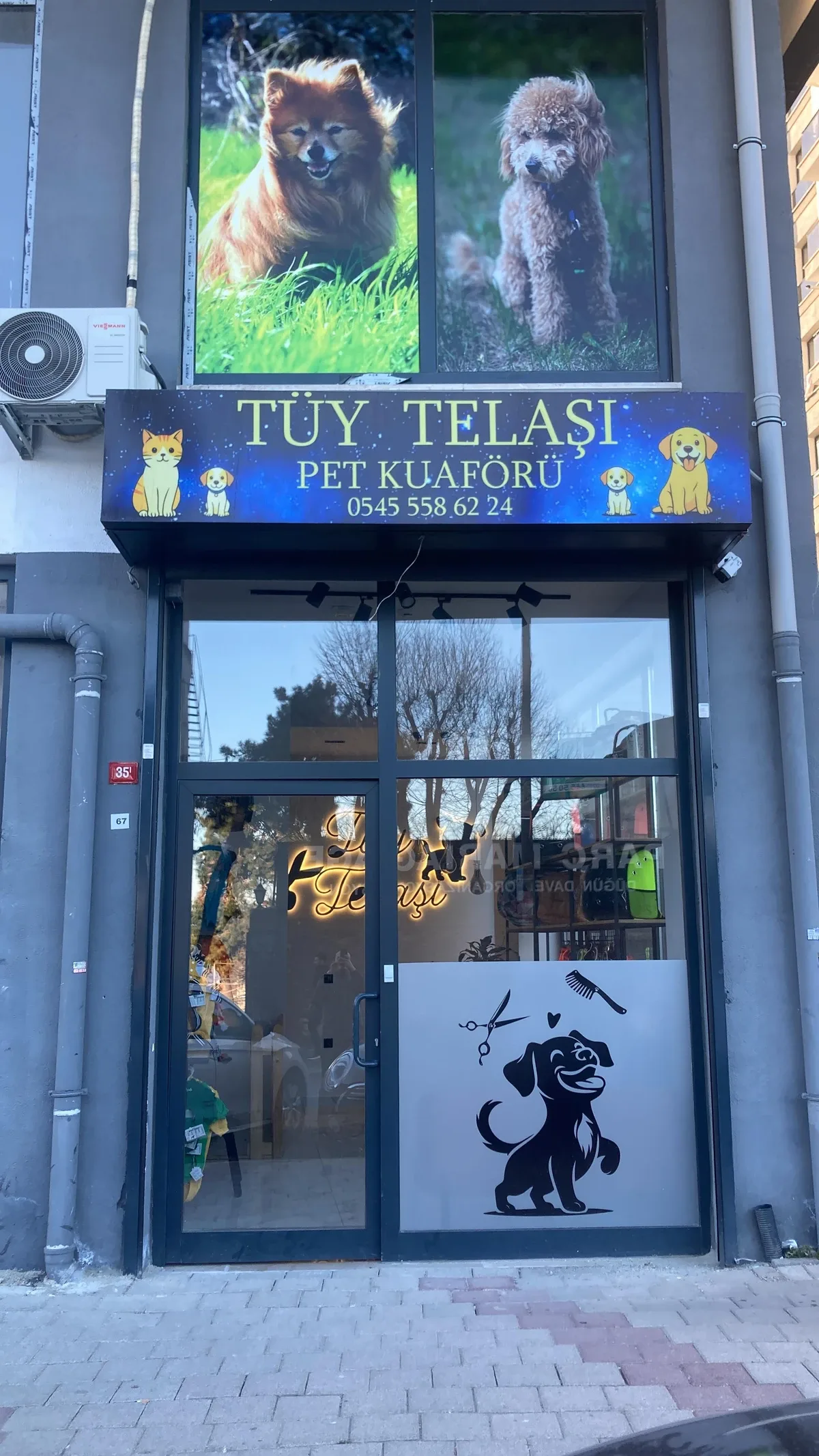 Tüy Telaşı Galeri