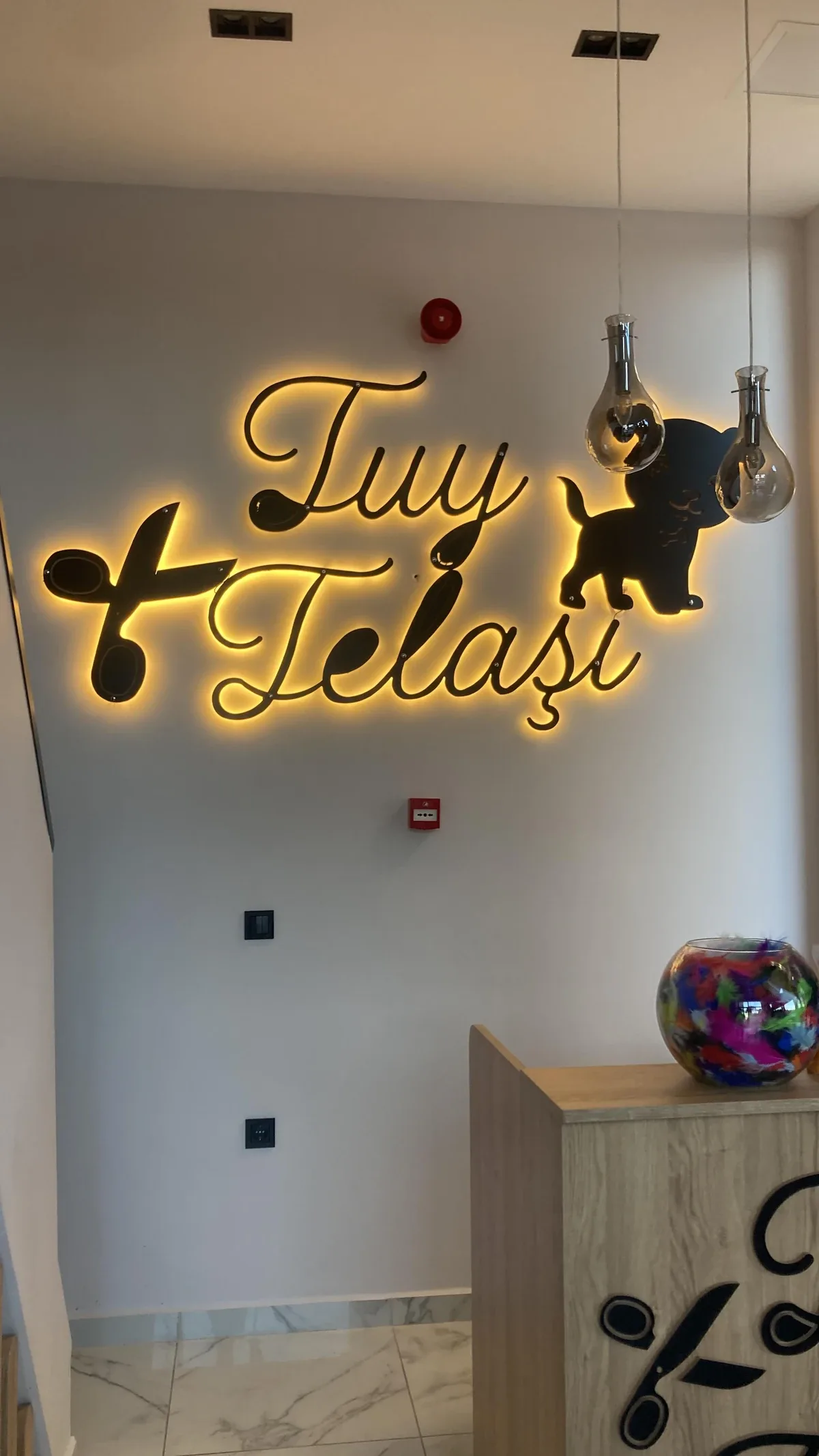 Tüy Telaşı Galeri