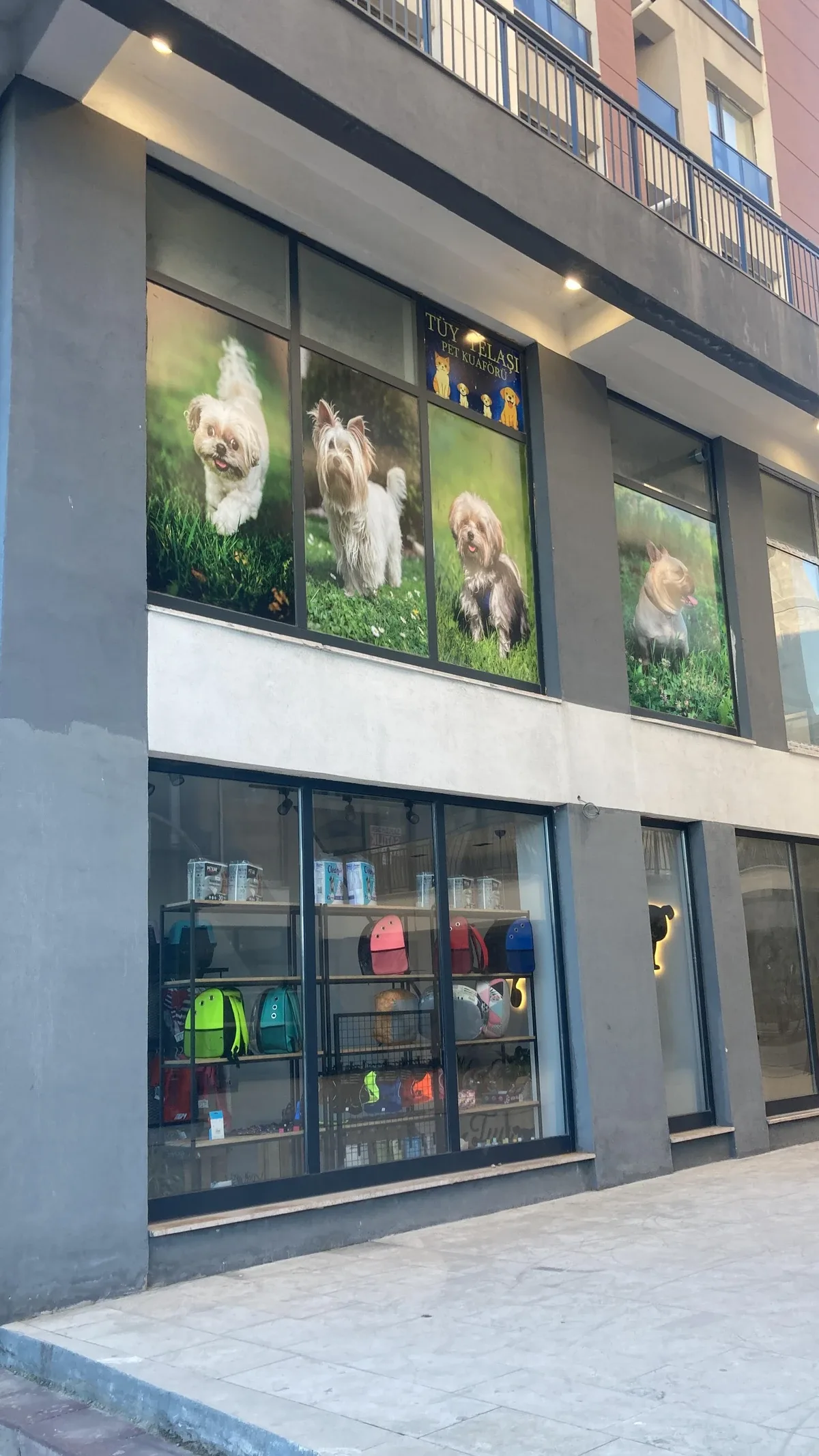 Tüy Telaşı Galeri